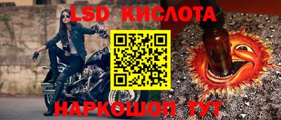 индика Партизанск
