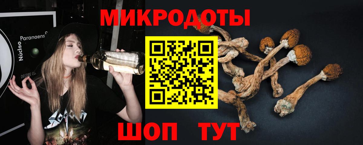 Галлюциногенные грибы Magic Shrooms Петрозаводск