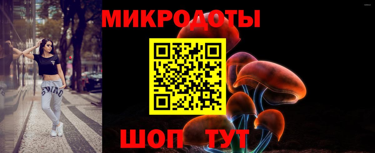 Галлюциногенные грибы Cubensis  Галлюциногенные грибы Psilocybe  Вход с VPN  Петрозаводск 